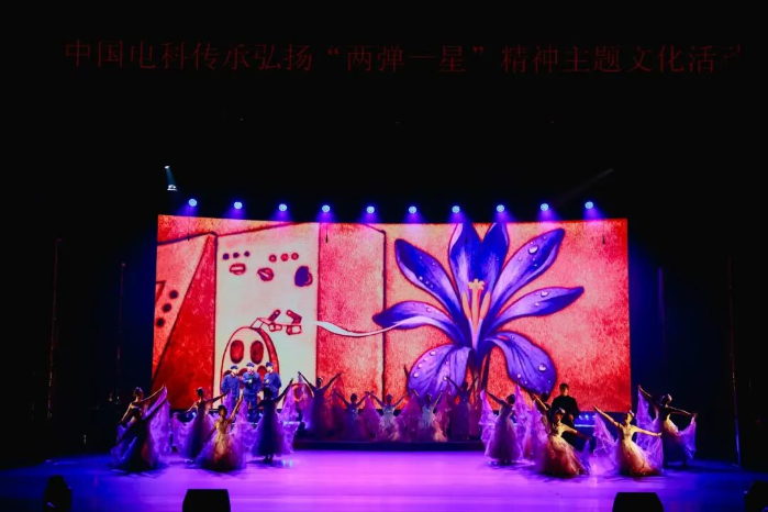 活动5