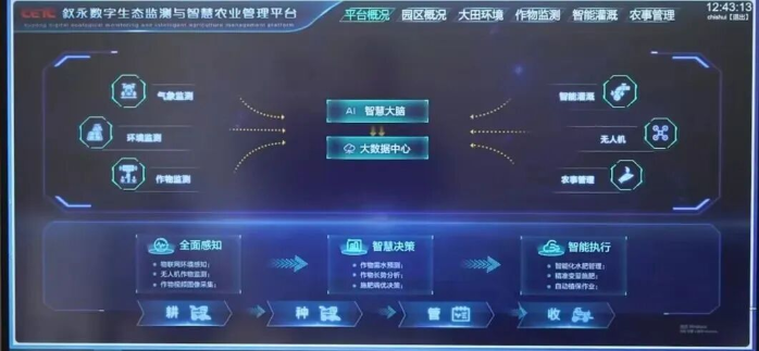 扶贫2 扶贫2